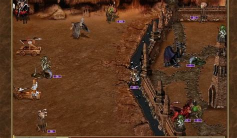 10 Tips and Tricks for Mastering MagicWin .